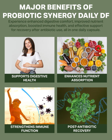 Probiotic Synergy Daily DF – Gut & Immune Health Support | RetzlerRx®